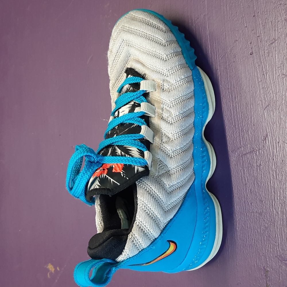 Boys LeBron James Nike Shoes